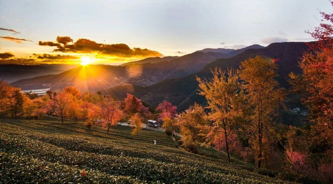 一部手机游云南