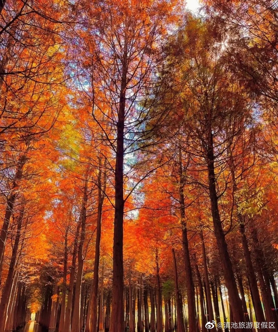 滇池旅游度假区