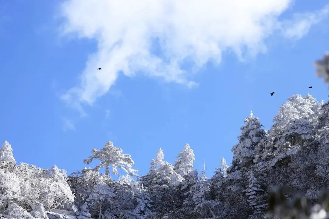 昆明轿子山旅游