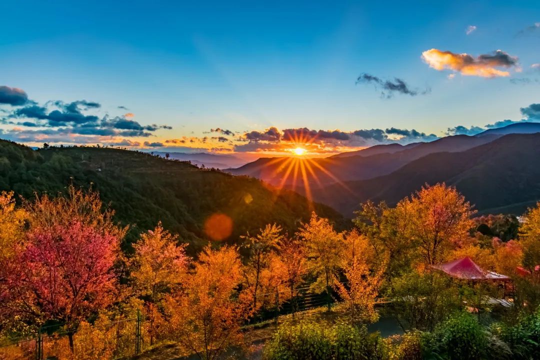 一部手机游云南