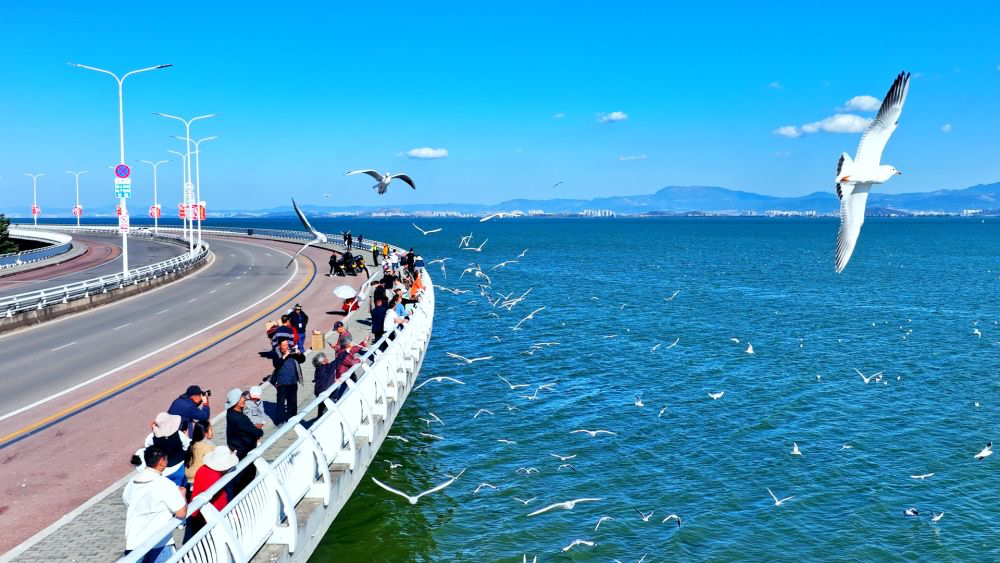 云南省文化和旅游厅