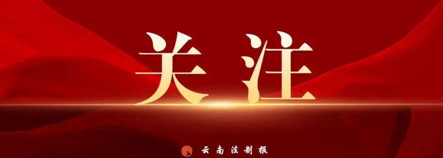 云南法制报