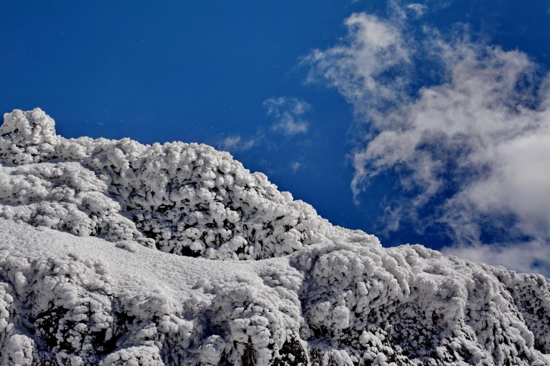 昆明轿子山旅游