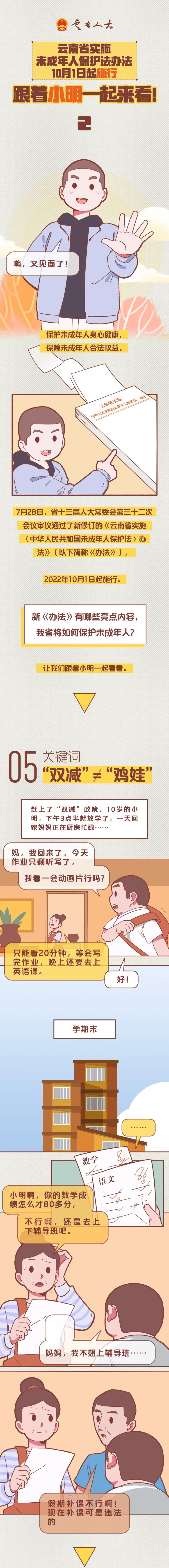 云南政法