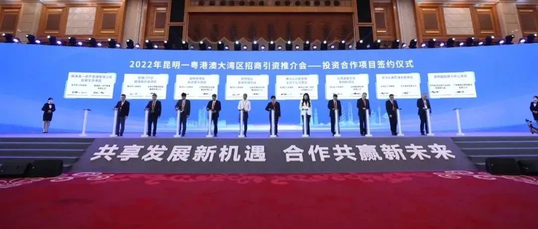 微观盘龙