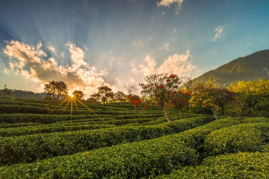 一部手机游云南