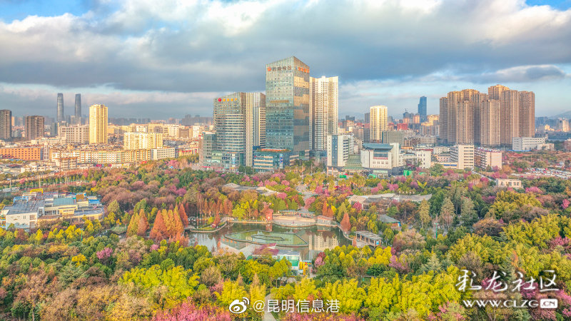 昆明信息港