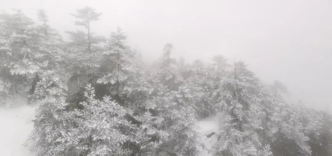 昆明轿子山旅游
