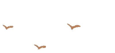 盘龙教育(微信)