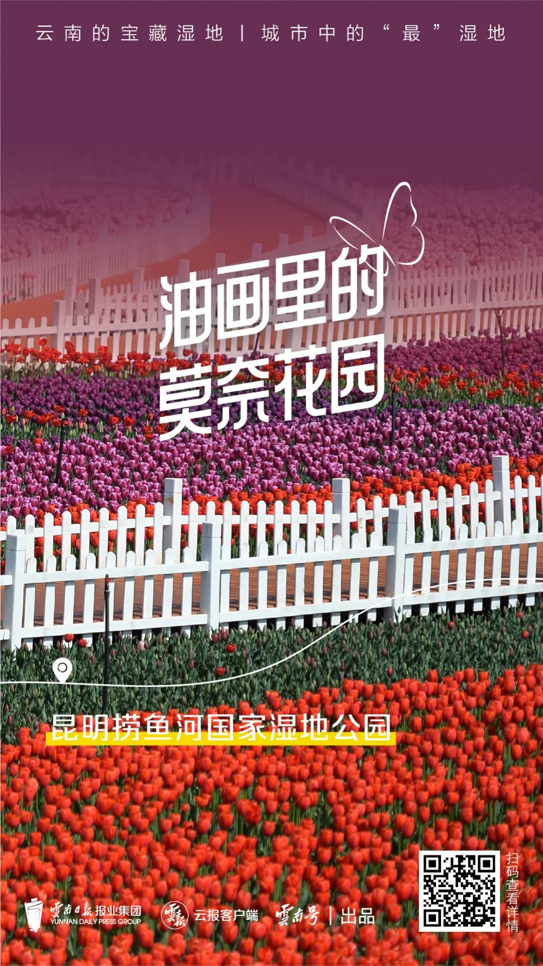 红色扎西