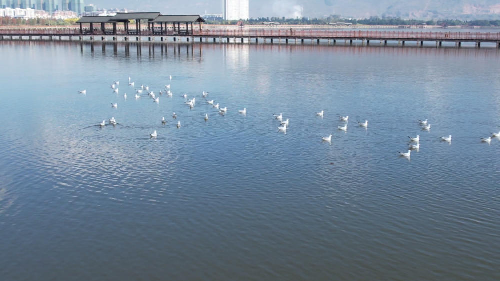 云南省文化和旅游厅