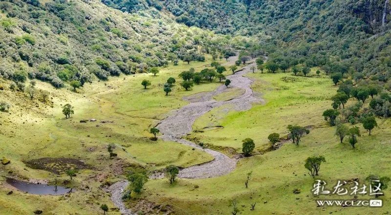 昆明信息港/cnkmxxg