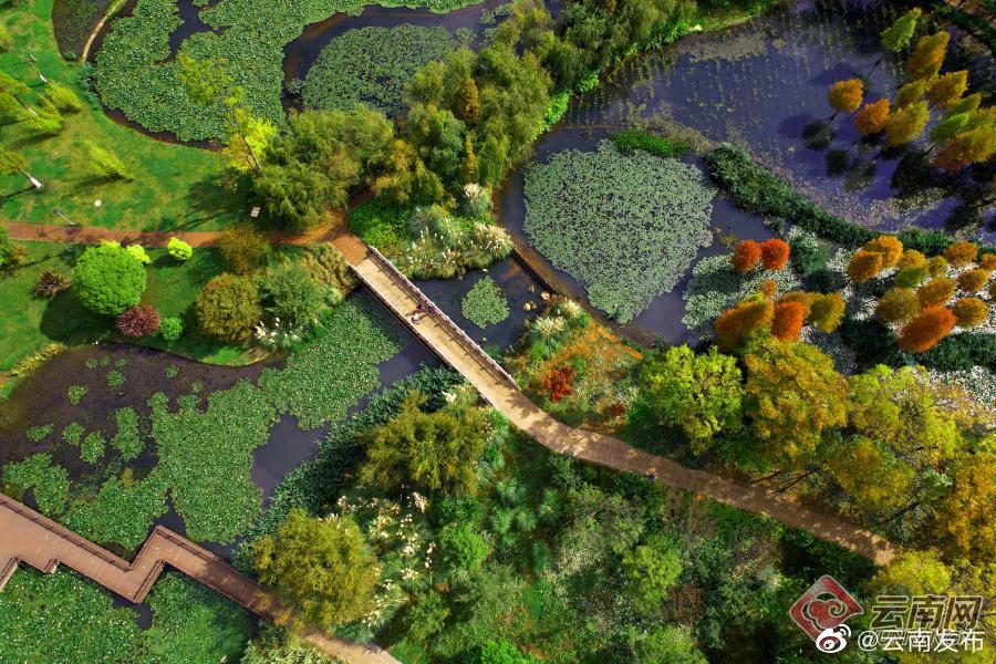 “云南发布”微博