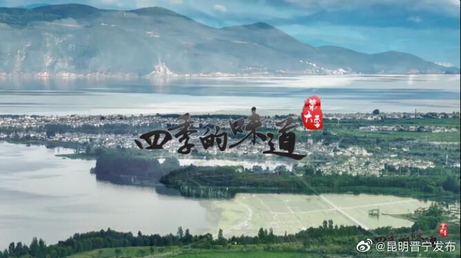 他在白族民居上作画，青瓦白墙间有艺术梦