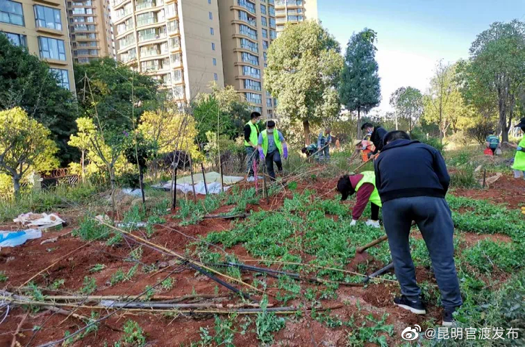“昆明官渡发布”微博