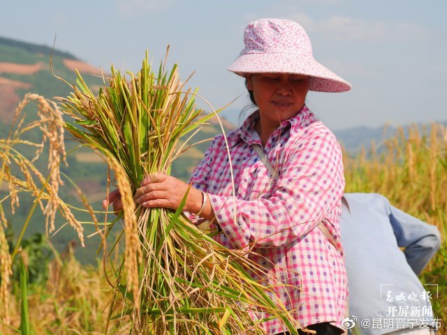 昆明晋宁发布