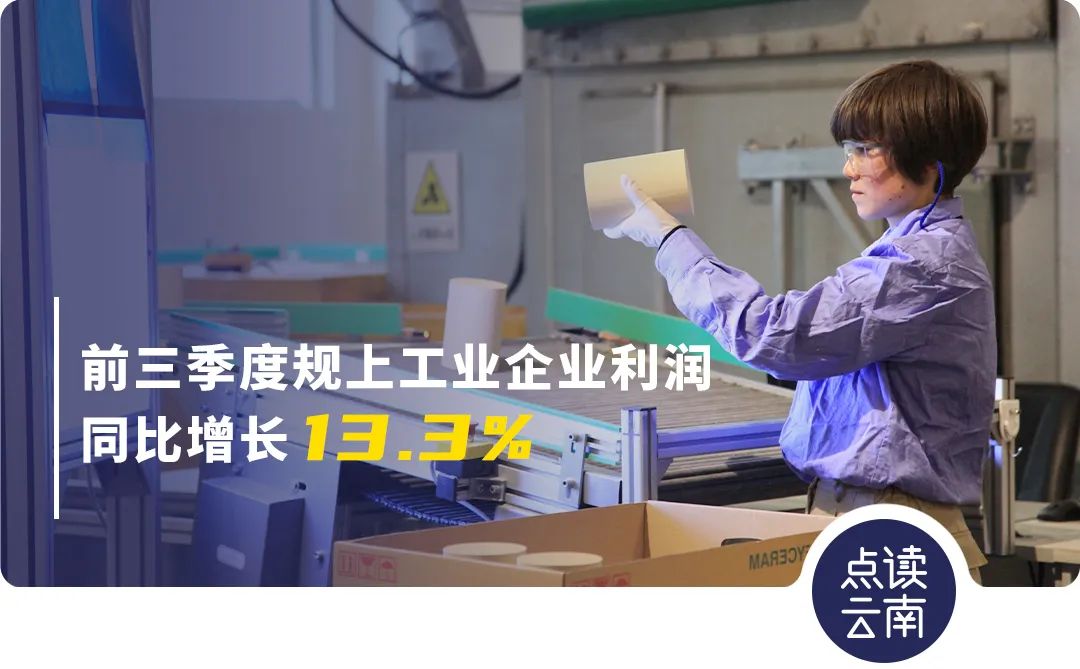 云南省人民政府网