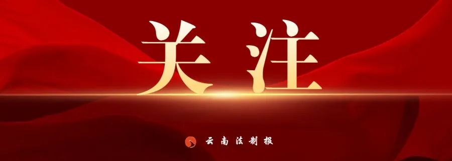 云南法制报