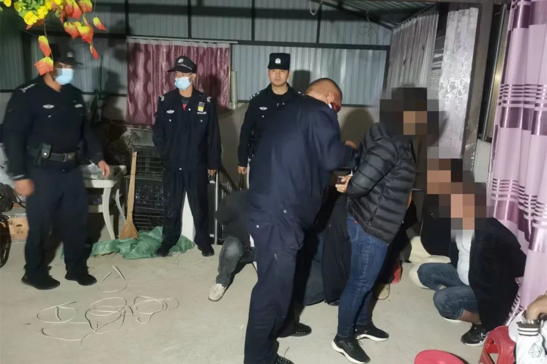 保山新闻网