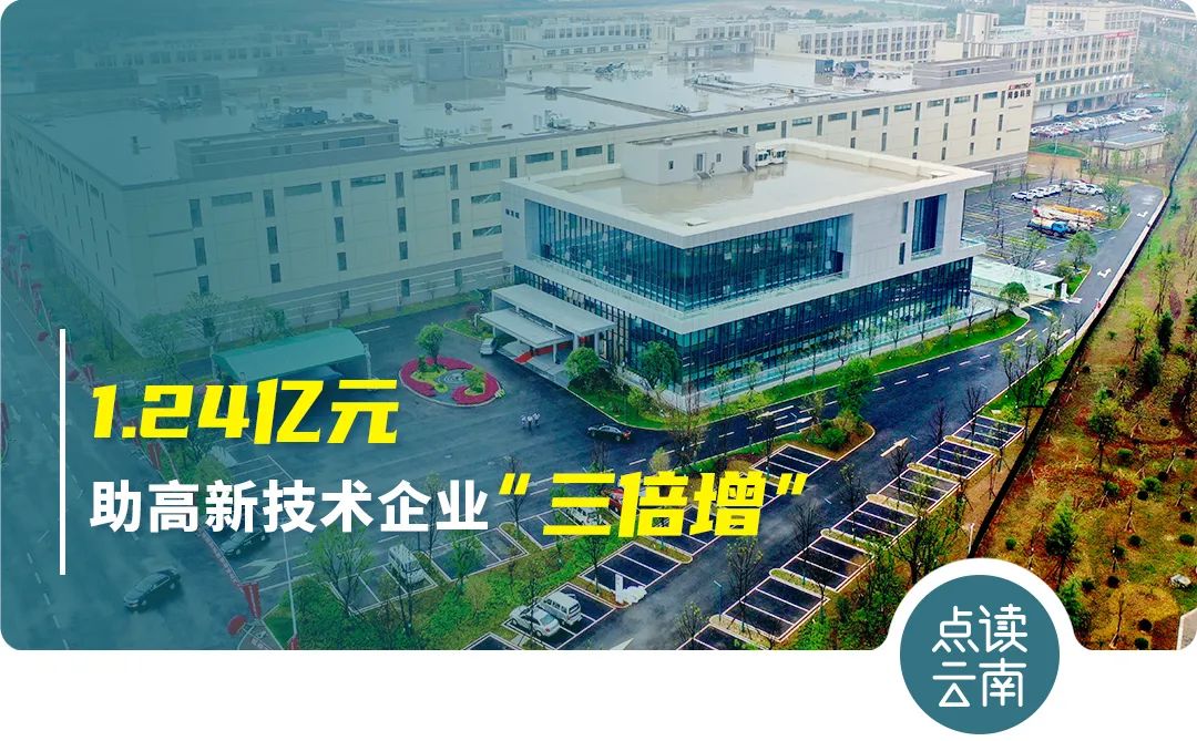 云南省人民政府网