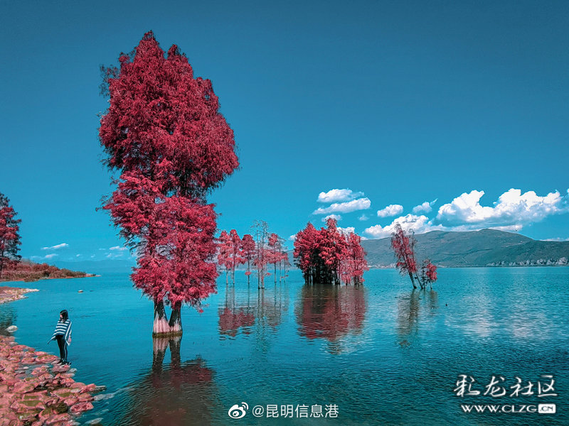 昆明信息港