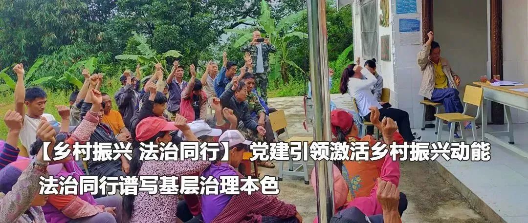 云南政法