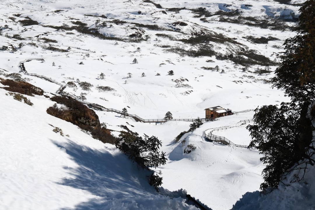 昆明轿子山旅游
