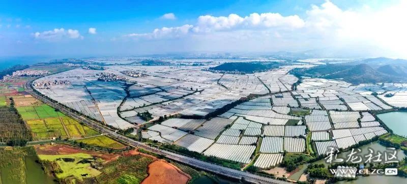 昆明信息港/cnkmxxg