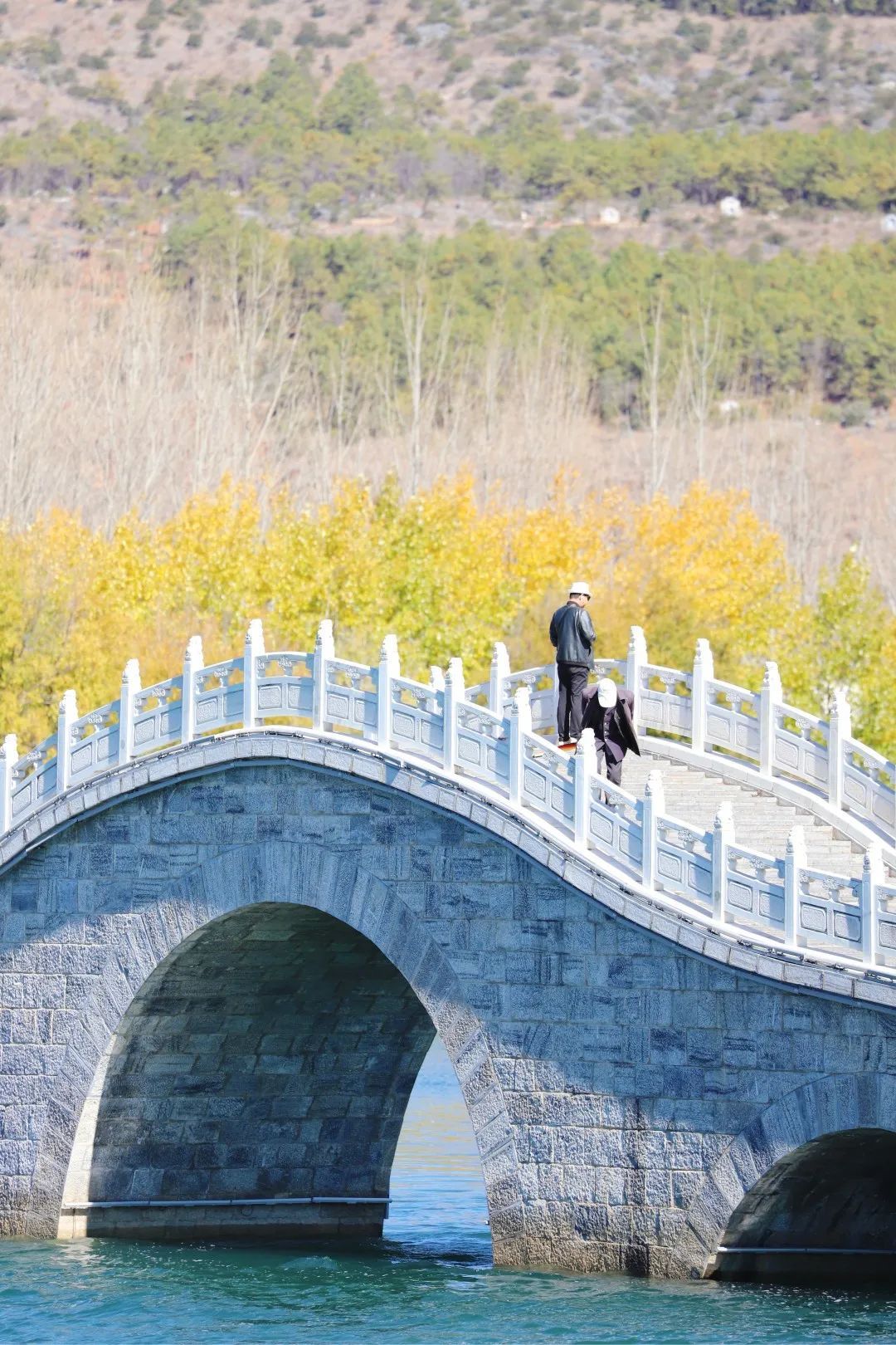 云南省文化和旅游厅