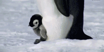 手脚冰凉分3个等级 