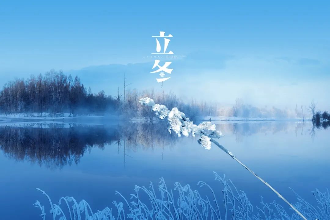 云南政协报