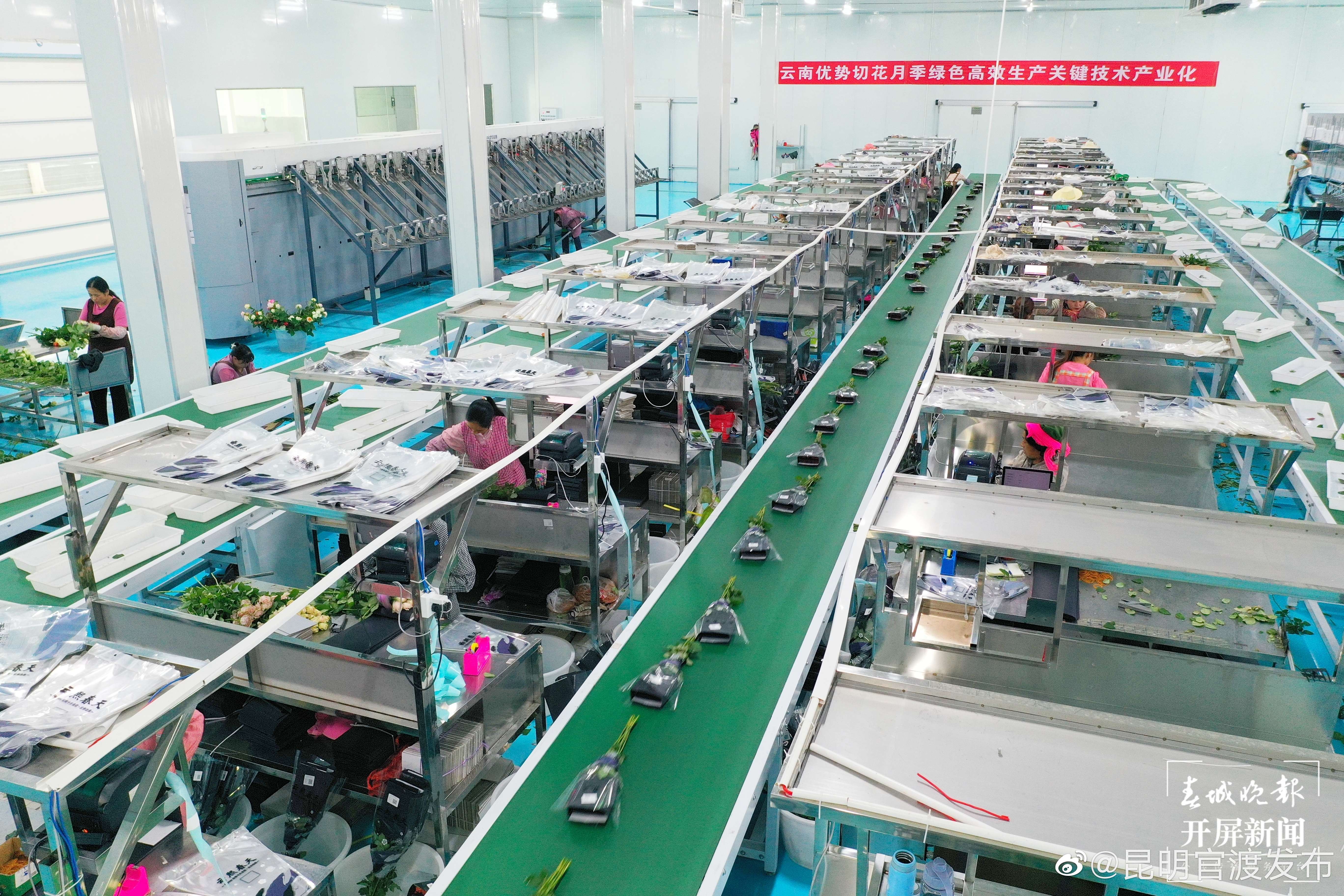 “昆明官渡发布”微博