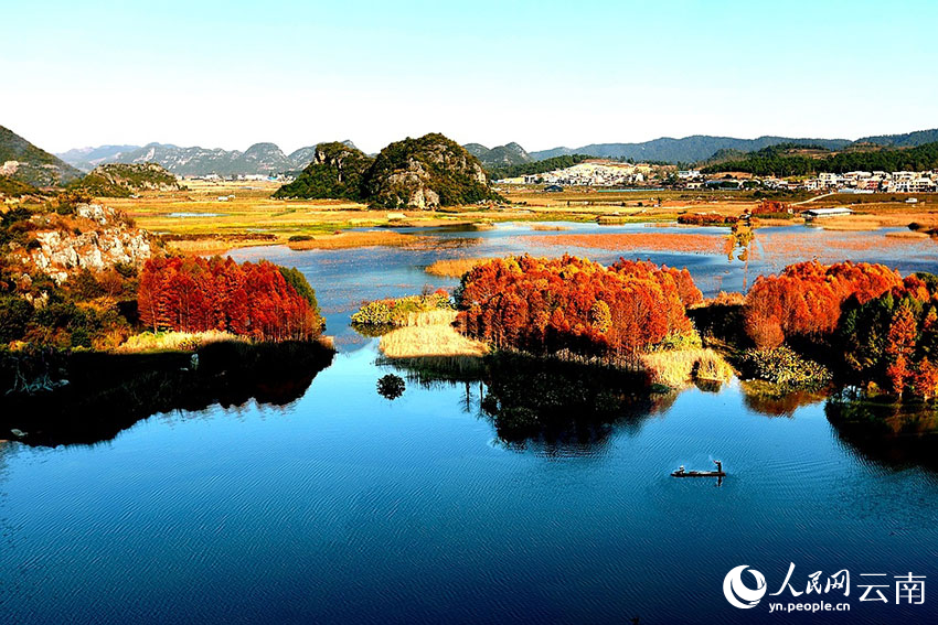 新华网云南频道