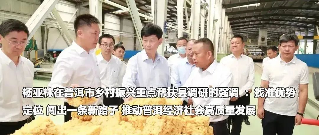 云南政法