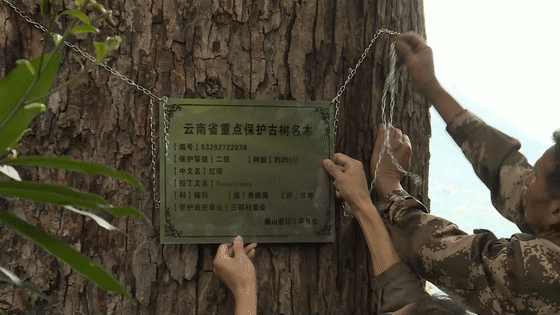 大理电视台