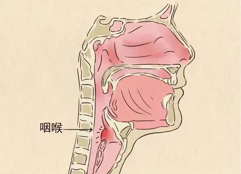春城晚报