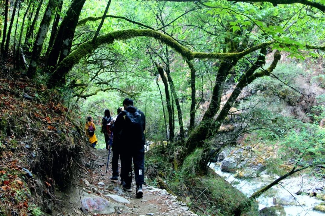 一部手机游云南