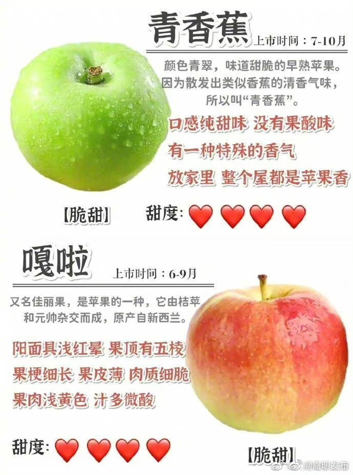 嵩明发布