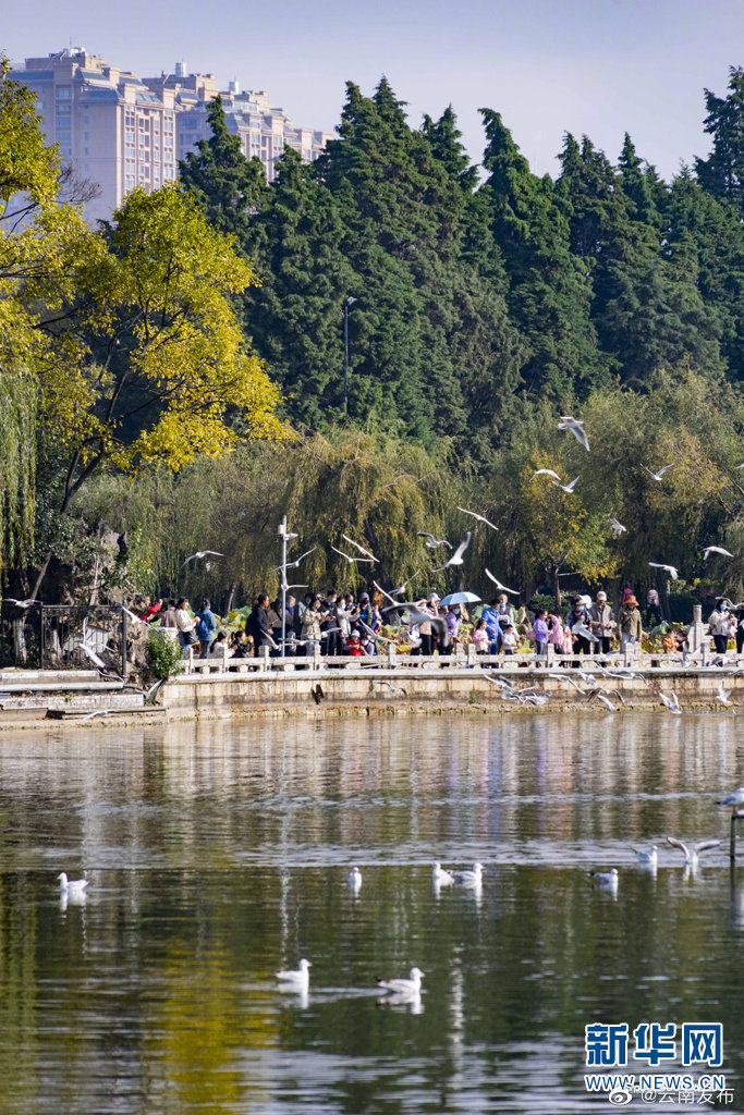 “云南发布”微博