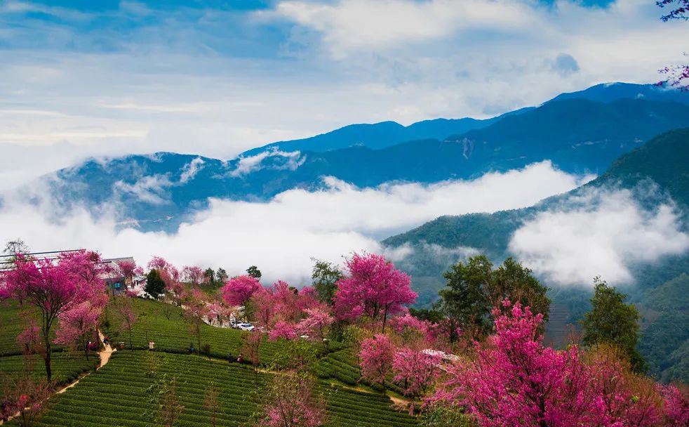 一部手机游云南