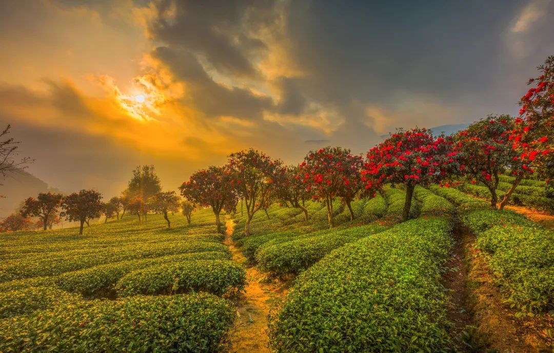 一部手机游云南