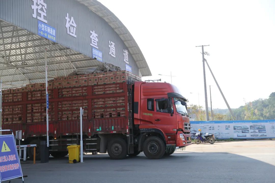 德宏团结报