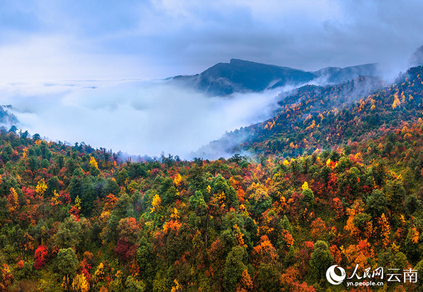 新华网云南频道