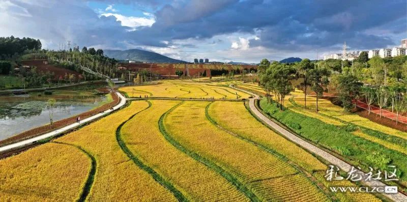 昆明信息港/cnkmxxg