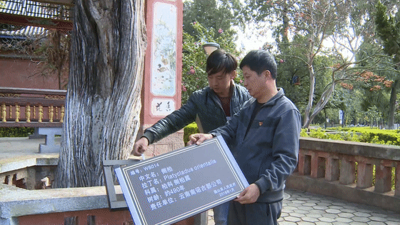 大理电视台