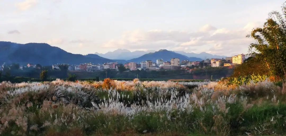 普洱日报