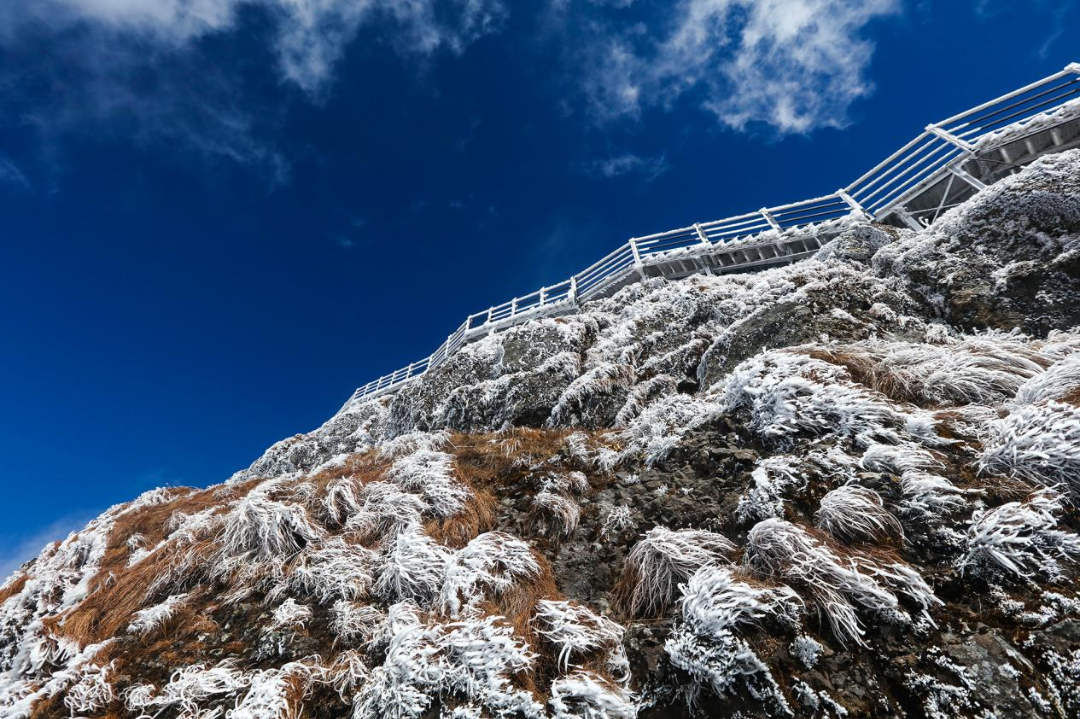 昆明轿子山旅游