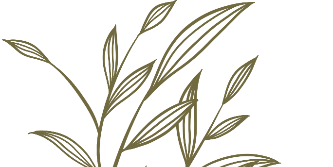 昆明市西山区图书馆