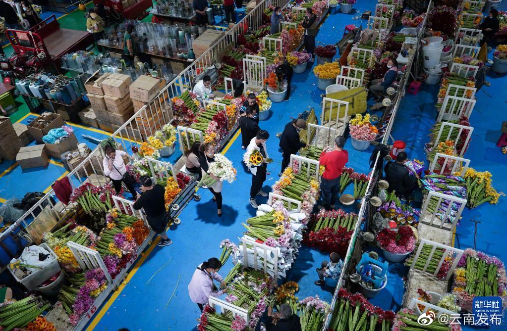 “云南发布”微博