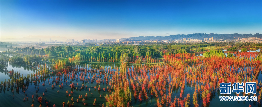 云南省文化和旅游厅